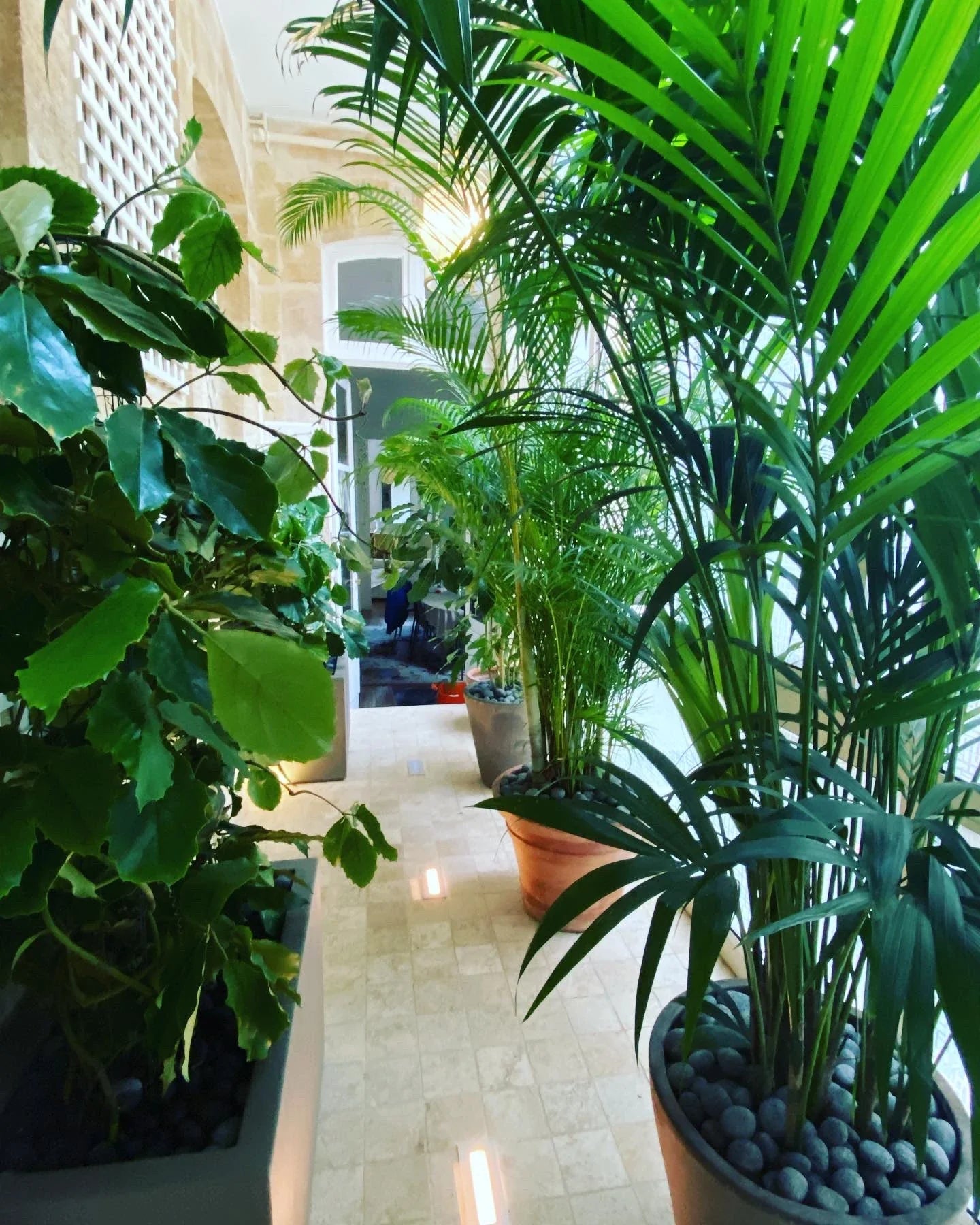 Patio d’intérieur au cœur de Bordeaux…
