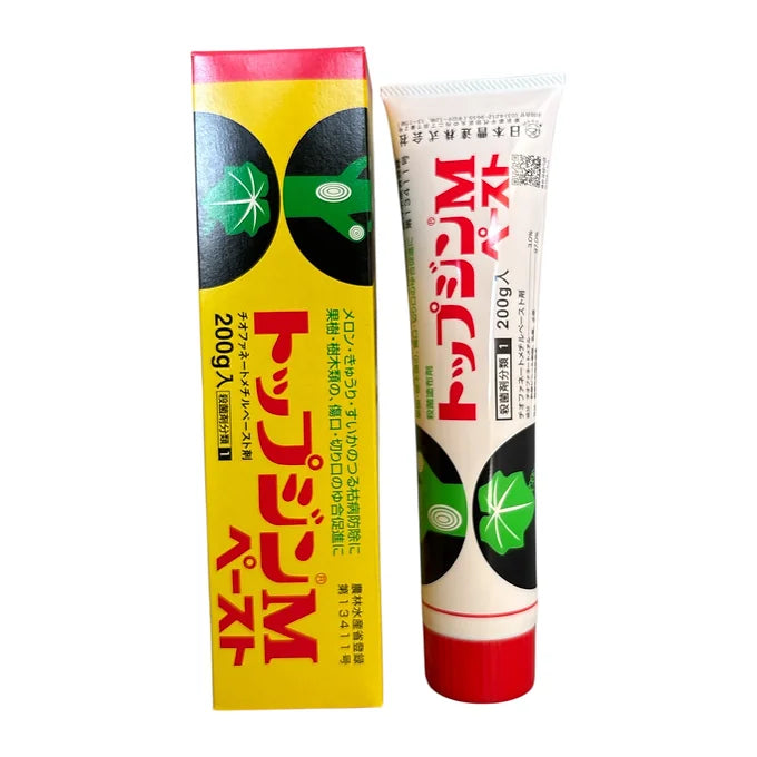 Mastic à cicatriser TOPJIN - 200g