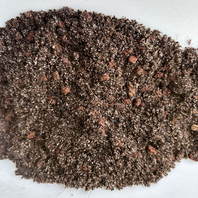 Terreau Bonsaï UAB - Secret Vert - 6L