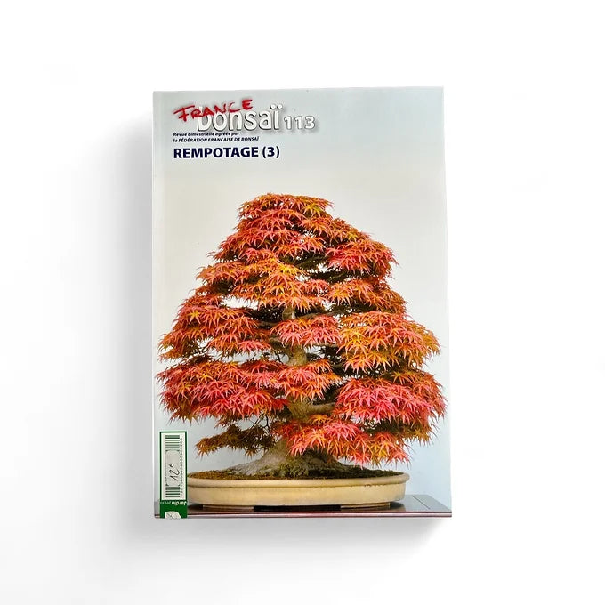 Magazine France Bonsaï - N°113