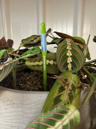 Testeur d’humidité pour sol à planter