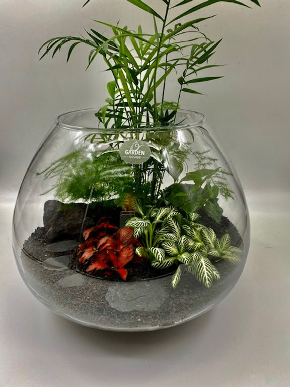 Terrarium Rangoon