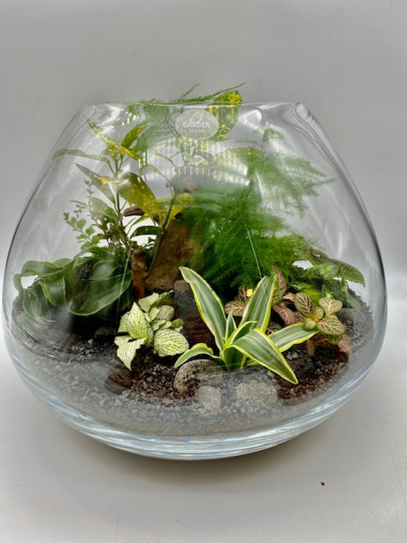 Terrarium Rangoon