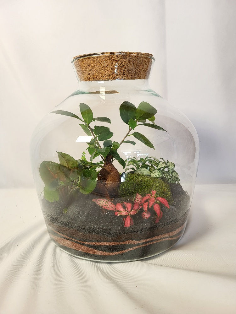 Terrarium Alicante