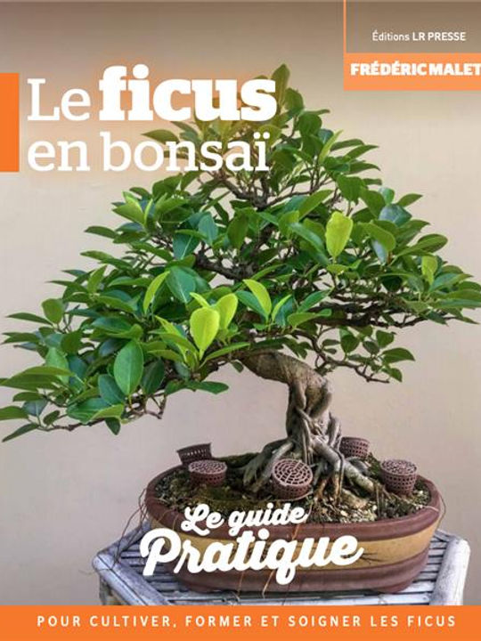 Livre "Le ficus en bonsaï" par Frédéric MALET