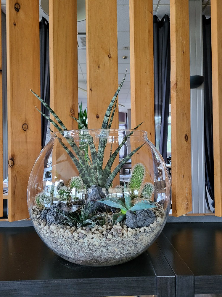 Terrarium Jakarta