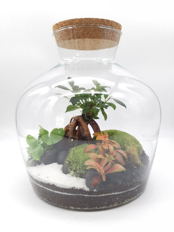 Terrarium Alicante