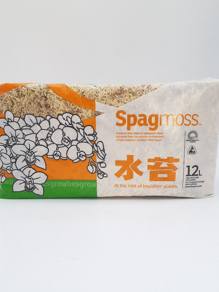 Sphaigne de Nouvelle-Zélande Besgrow