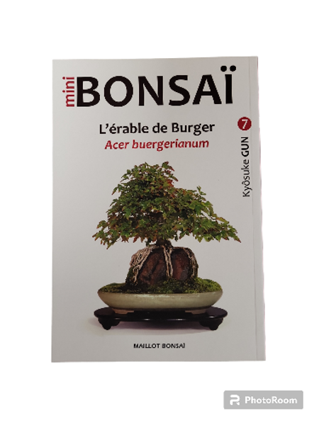 Livre "Mini bonsaï - L'érable de Burger (Acer buergerianum)" par Kyôsuke GUN