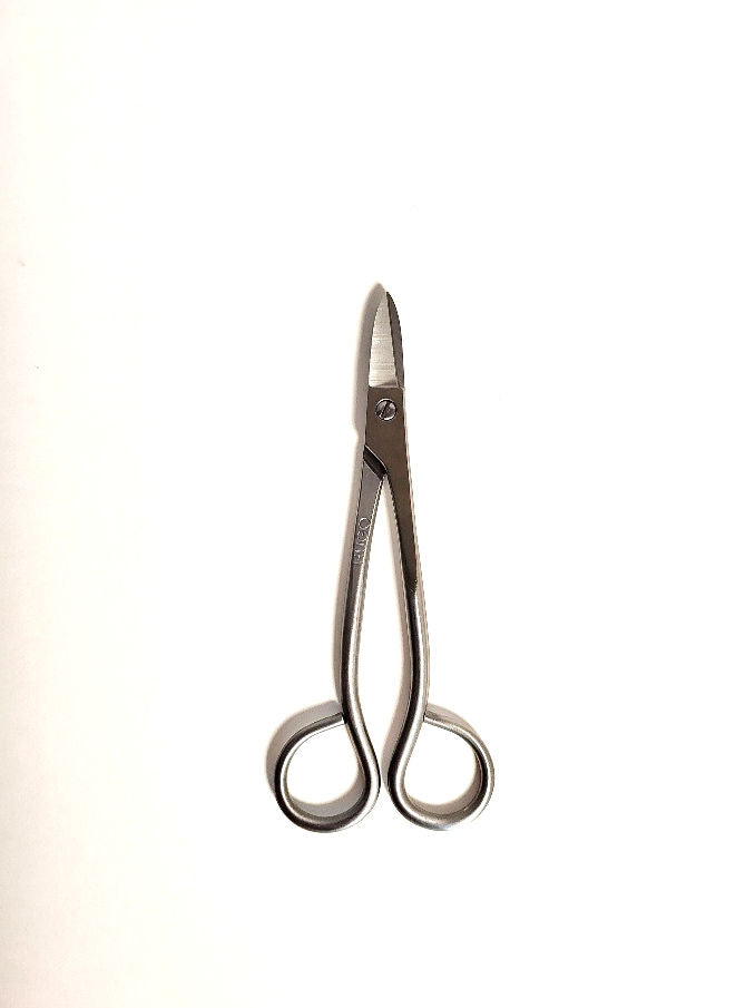 Ciseau bourgeons Hugo Bonsaï 150mm acier inoxydable outil taille précision bonsaï professionnel