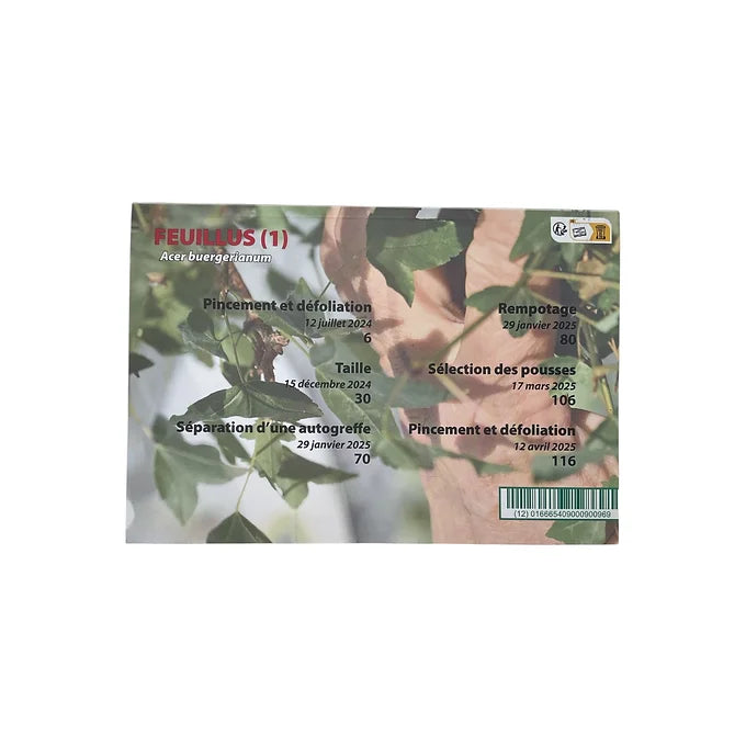 Magazine France Bonsaï - N°164
