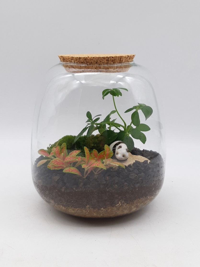Terrarium Miami