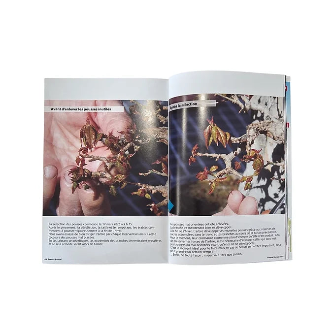 Magazine France Bonsaï - N°164