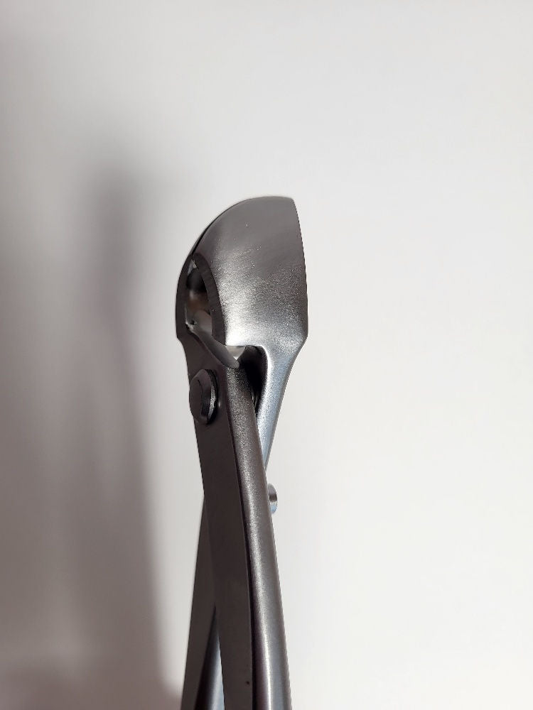 Grande pince concave arrondie - 280mm - Hugo Bonsaï® (HB21)