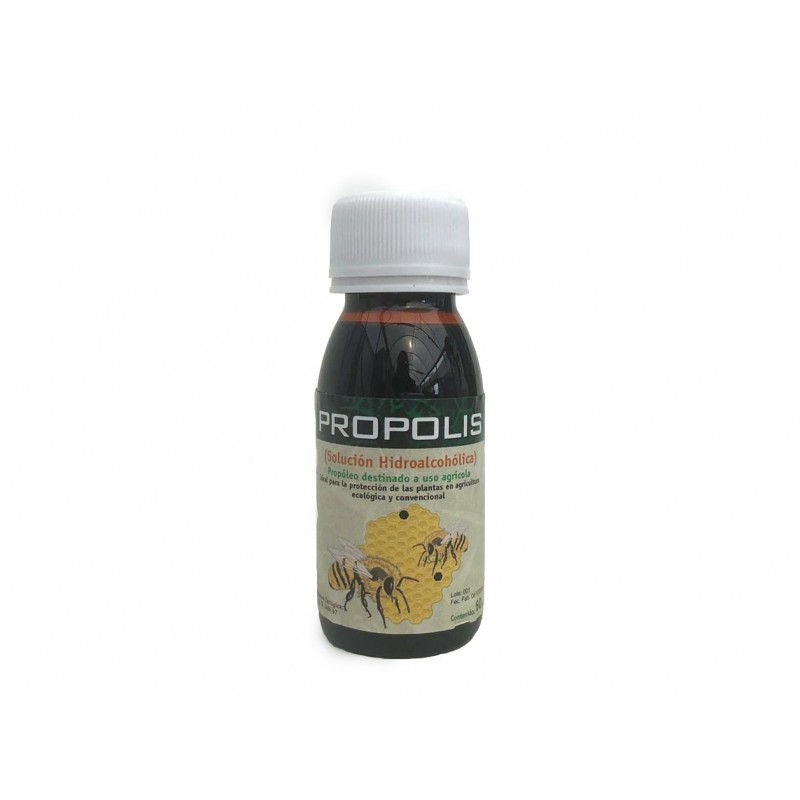 Propolis (solution hydro-alcoolique)