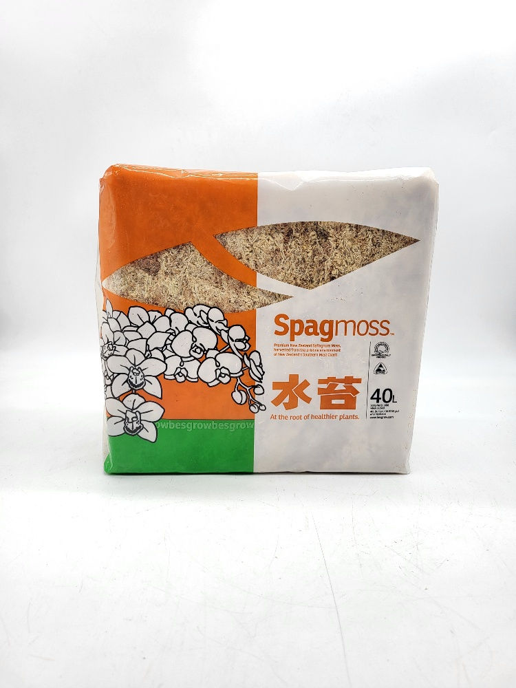 Sphaigne de Nouvelle-Zélande Besgrow