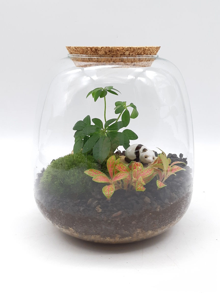 Terrarium Miami