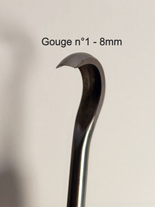 Gouges - Hugo Bonsaï®