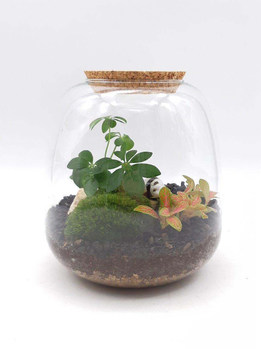Terrarium Miami