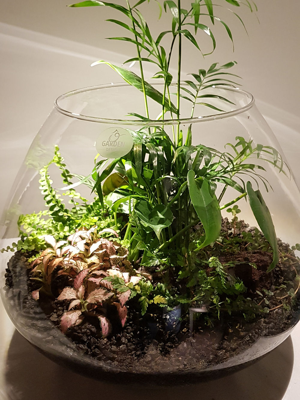 Terrarium Rangoon