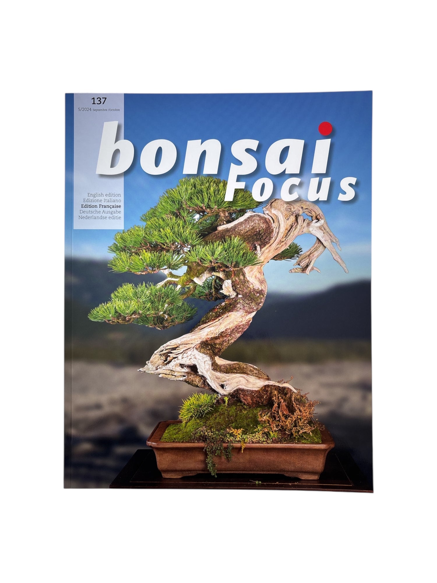 Magazine Bonsaï Focus - n°137