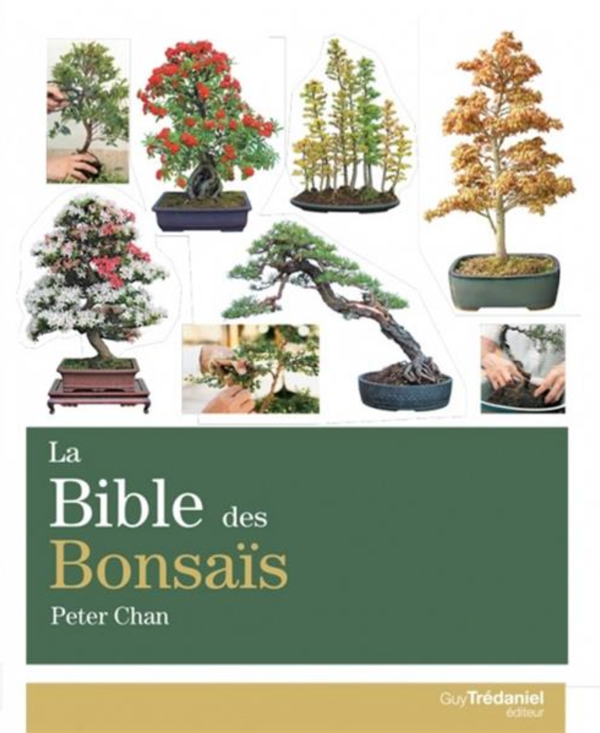 Livre "La Bible des Bonsaïs" par Peter Chan