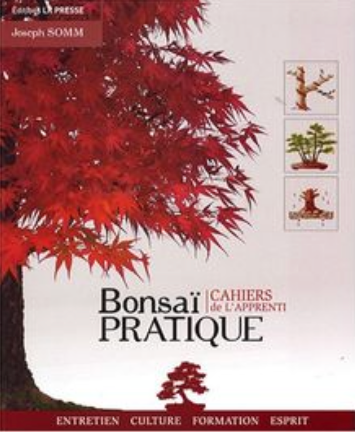 Livre Bonsaï Pratique - Les cahiers de l'apprenti de Joseph SOMM