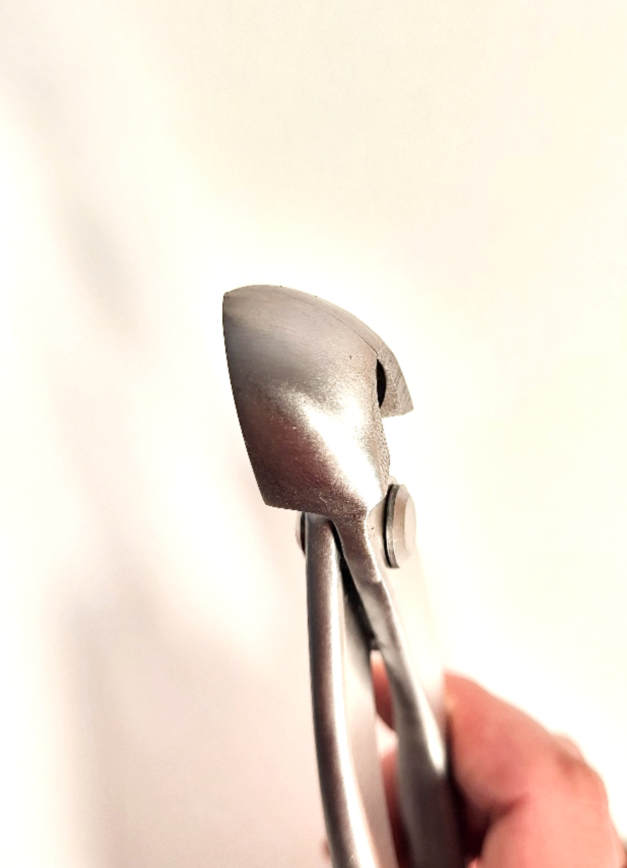 Pince concave arrondie en inox - 180mm - Hugo Bonsaï® (HB09)