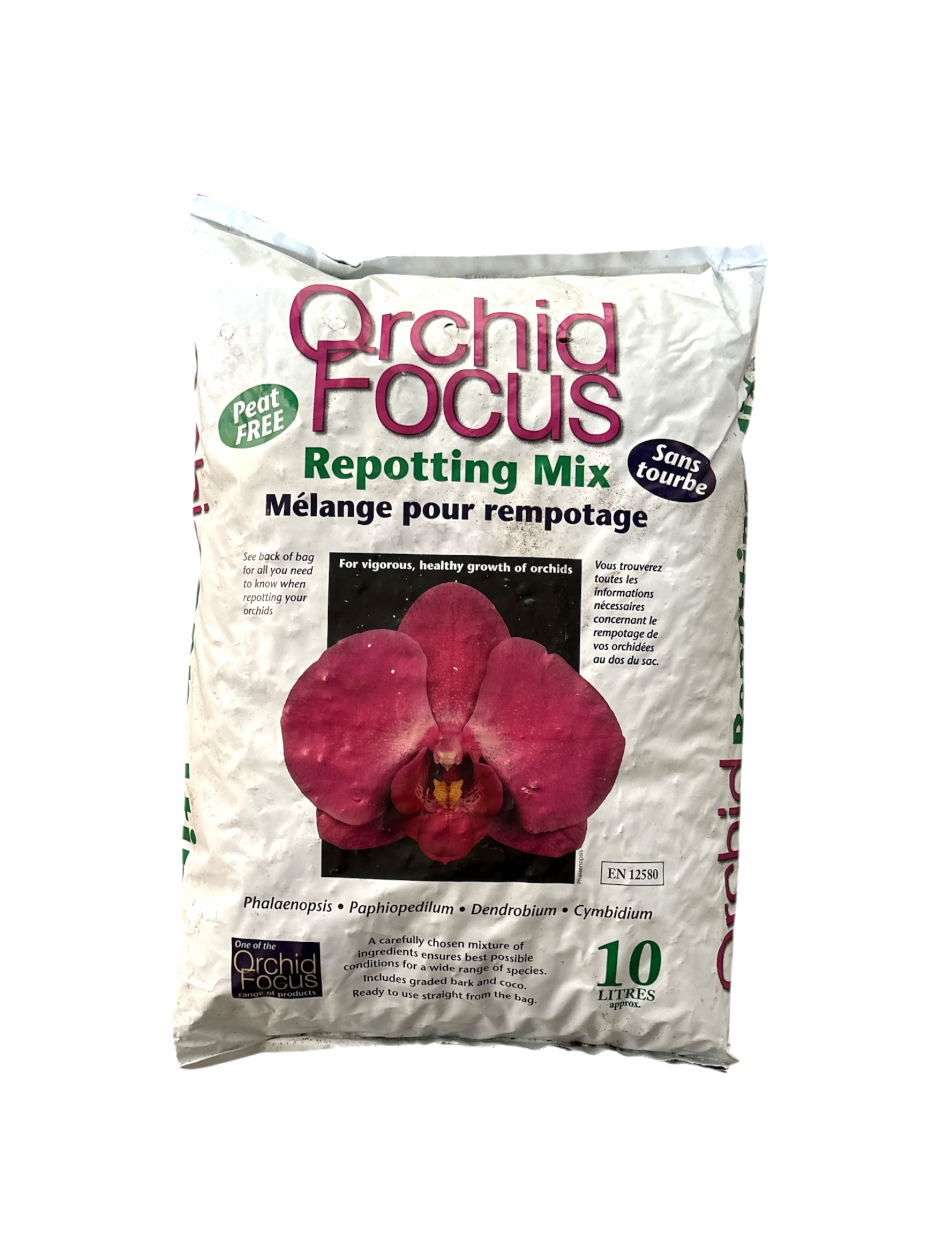 Substrat rempotage pour orchidées 'Orchid Focus'