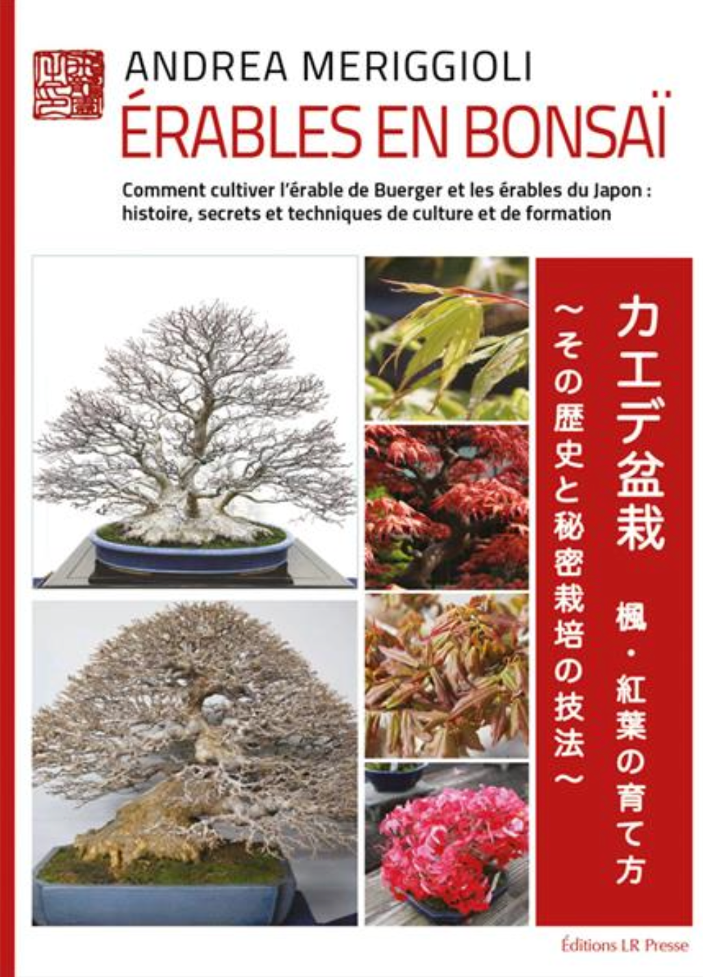 Livre "Érables en bonsaï" par Andréa MERIGGIOLI
