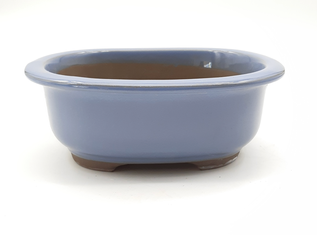 Pot ovale pour bonsaï émaillé - Bleu