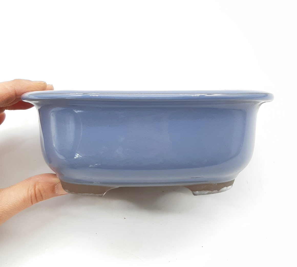 Pot ovale pour bonsaï émaillé - Bleu