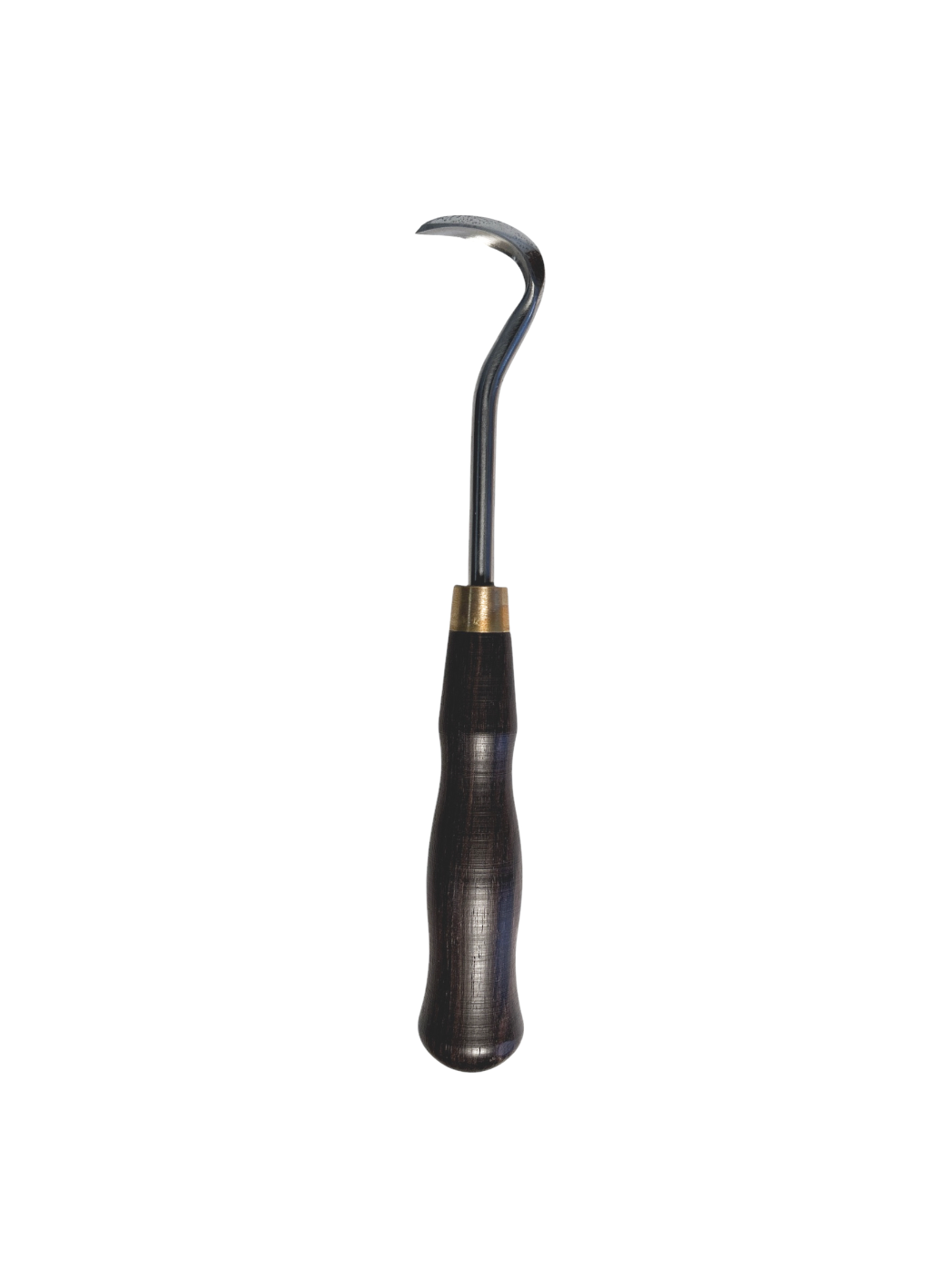 Gouge inox Hugo Bonsaï 1mm pointue, manche bois, 195mm, idéale pour jin et shari