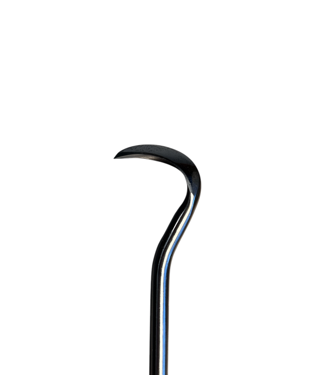 Gouge inox Hugo Bonsaï 1mm pointue, manche bois, 195mm, idéale pour jin et shari