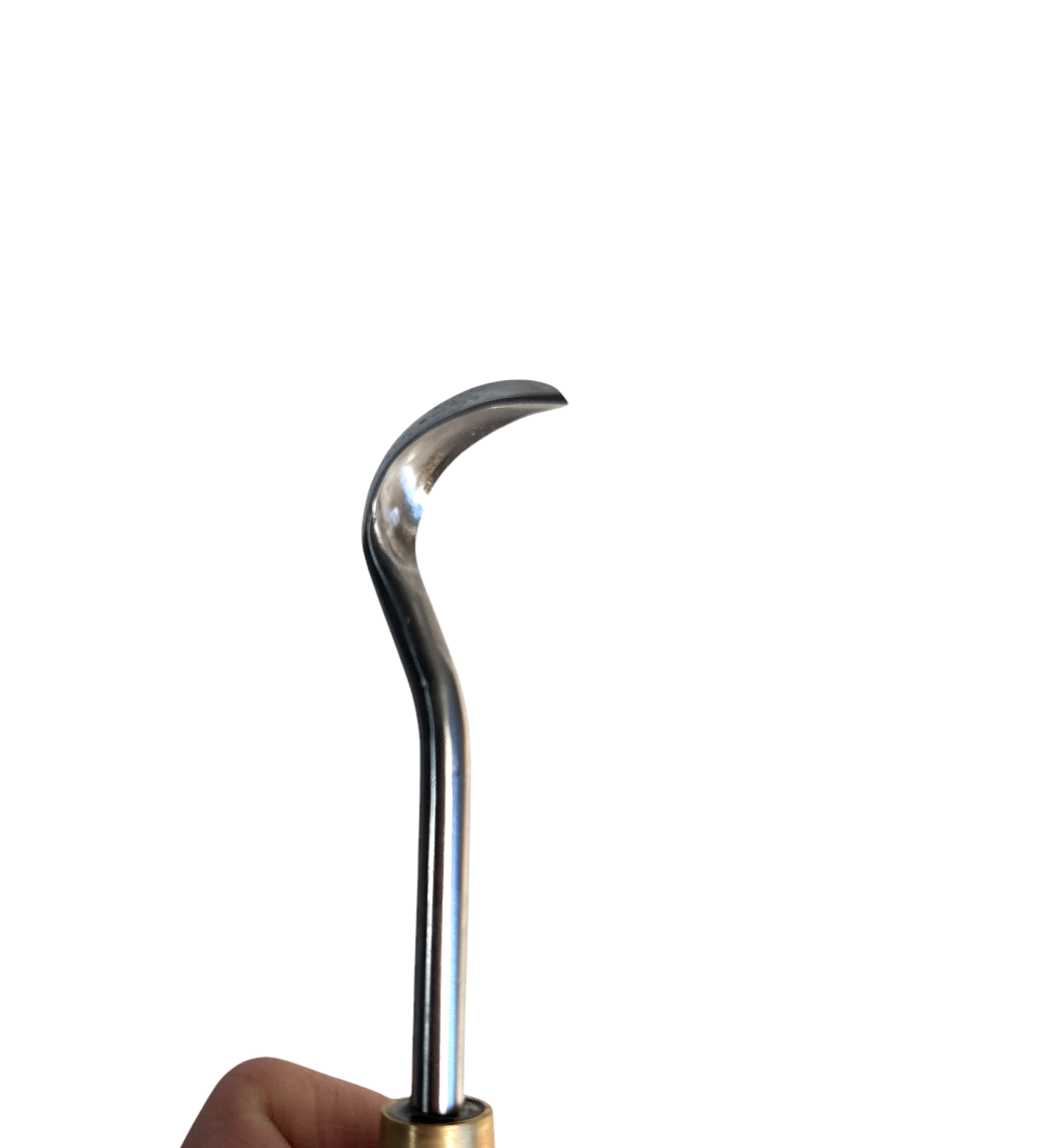 Gouge inox Hugo Bonsaï 1mm pointue, manche bois, 195mm, idéale pour jin et shari