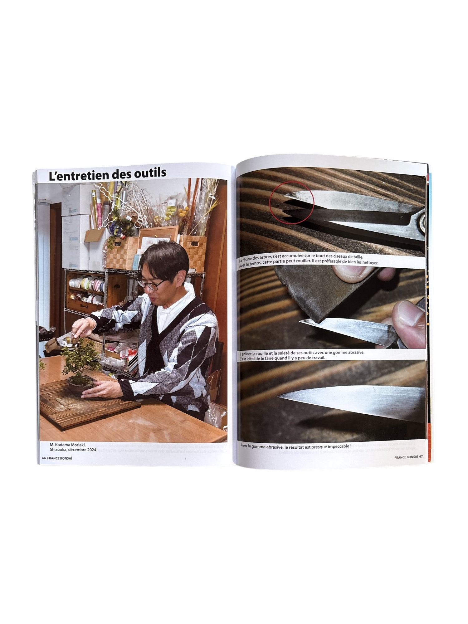 Magazine France Bonsaï - N°165