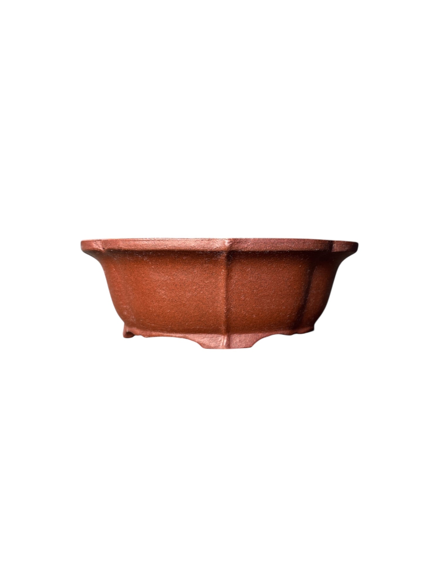 Pot Tokoname Shibakatsu - SHI04