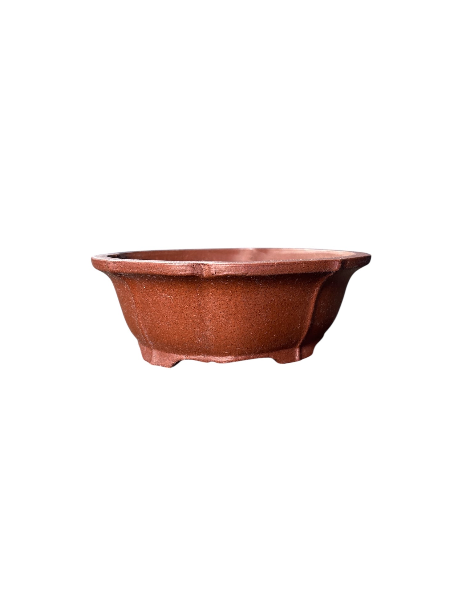 Pot Tokoname Shibakatsu - SHI04