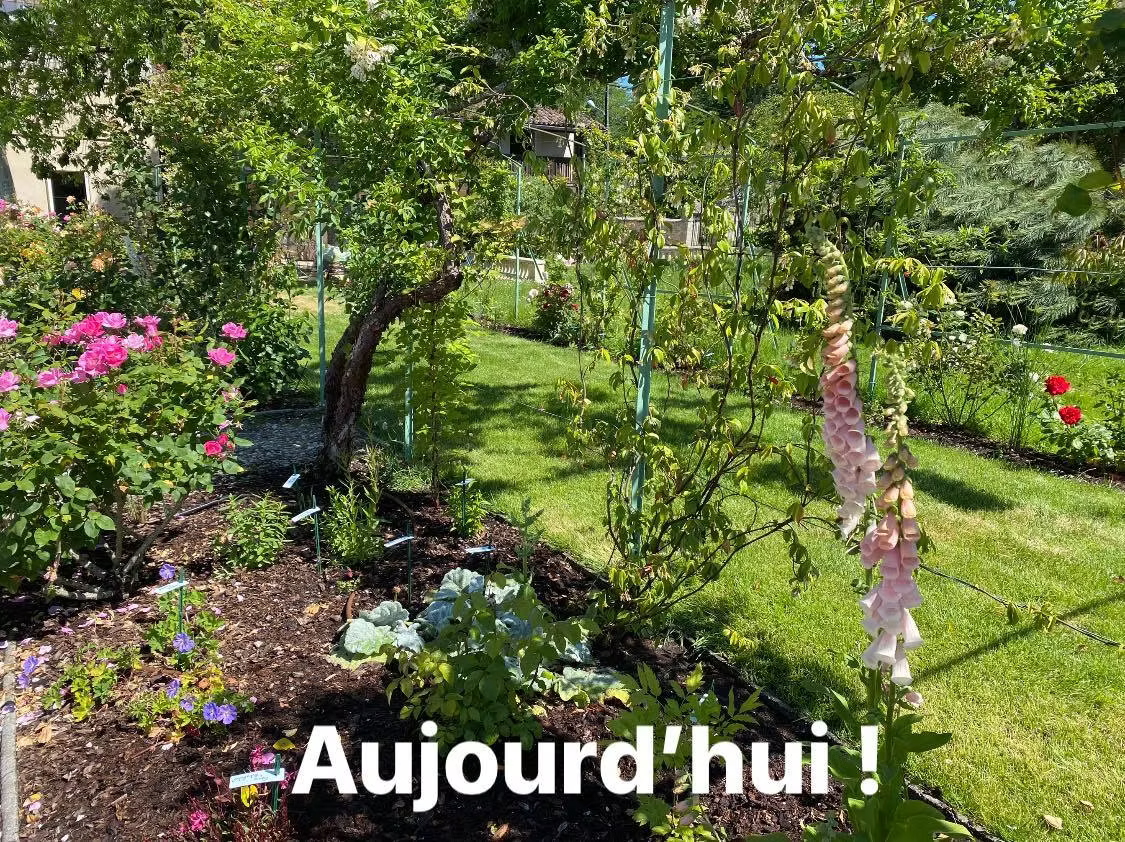 Réfection de la roseraie d'un château du 18ème siècle !