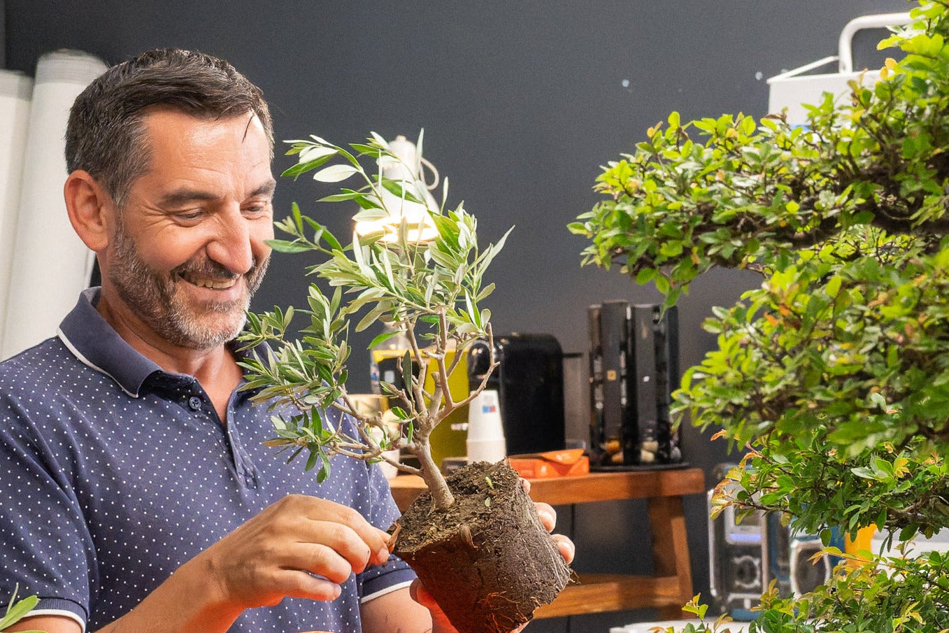 Atelier bonsais avec Sébastien Maimaran le mercredi 10 décembre 2025