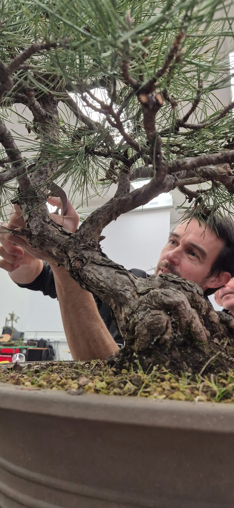 Atelier bonsaïs avec Olivier Barreau le 21 Décembre 2025