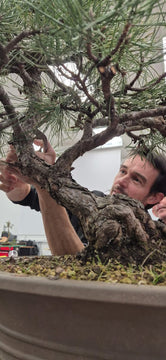 Atelier bonsaïs avec Olivier Barreau le 21 Décembre 2025