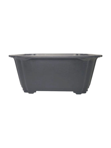 Pot bonsaï rectangle en plastique
