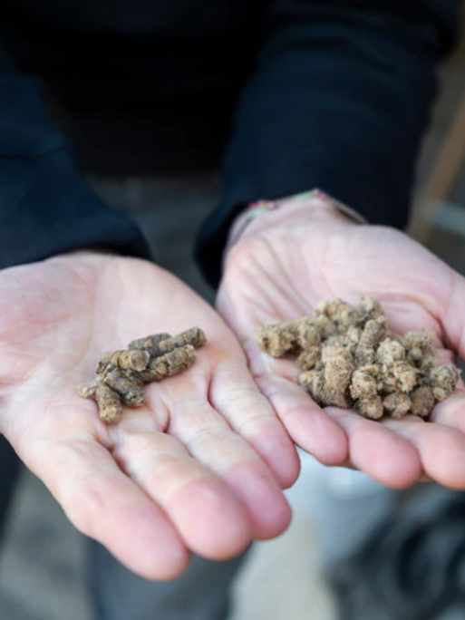 Engrais naturel Fertilaine en laine de mouton, utilisable en agriculture biologique, fabriqué en France
