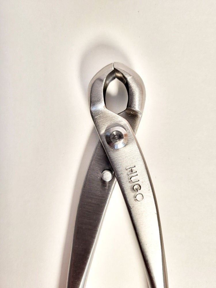 Petite pince ronde - 180mm - Hugo Bonsaï®