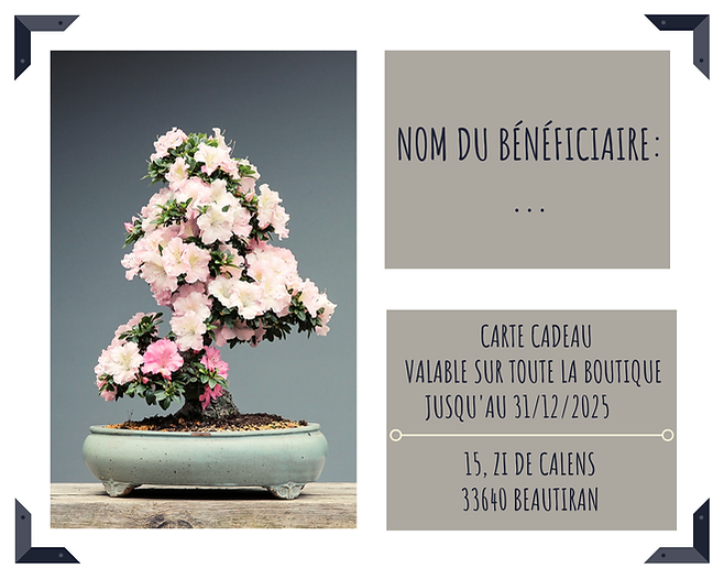 Verso de la carte cadeau atelier kokedama 