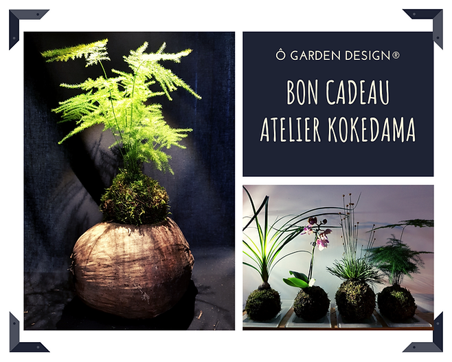 Recto de la arte cadeau atelier kokedama 