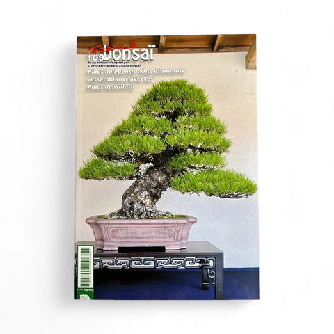 Magazine France Bonsaï - N°109