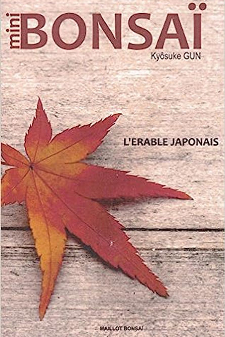 Livre "Mini bonsaï - L'érable japonais" par Kyôsuke GUN