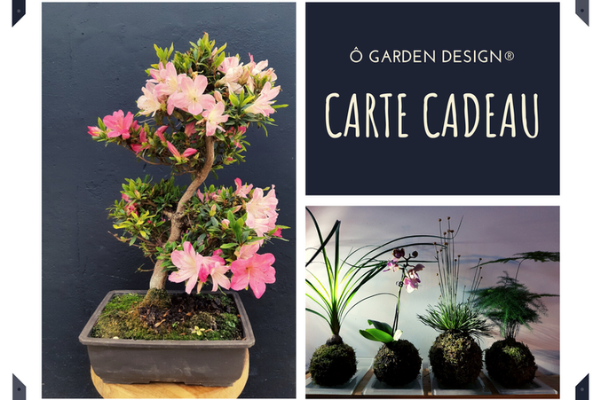 Carte cadeau O Garden Design® pour offrir bonsaïs, plantes, ateliers et accessoires jardinage